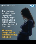 The pertussis vaccine, given to pregnant women, helps protect young babies against whooping cough from birth
