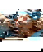 National Cancer Institute Bxxgtqew1m4 Unsplash