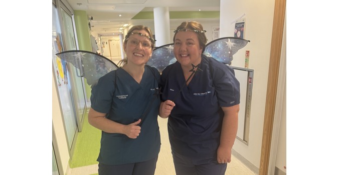 Flu Fairies